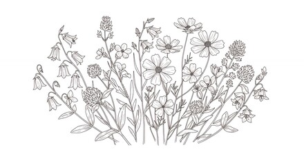 Monochromatic floral illustration