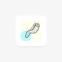 Sea Cucumber, vector, pixel perfect, illustrator file