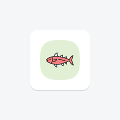 Bonito, vector, pixel perfect, illustrator file