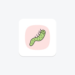 Sea Cucumber, vector, pixel perfect, illustrator file