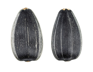 Two sunflower seeds showing their striped shells on transparent background