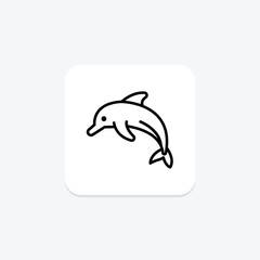 Dolphin, vector, pixel perfect, illustrator file