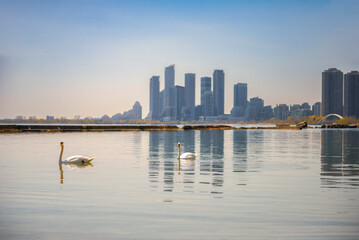 Obraz premium view of downtown Toronto in spring