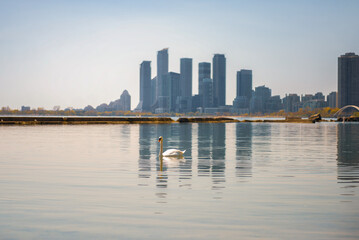 Obraz premium view of downtown Toronto in spring