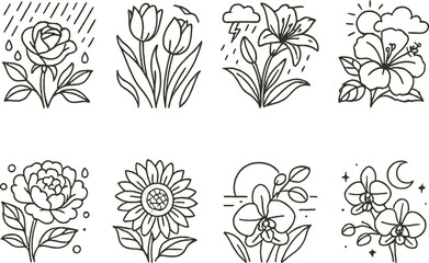 Floral weather line icons set &ndash; elegant, botanical nature symbol collection