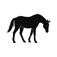 Racehorse Silhouette Vector Bundle | SVG Clipart for T-Shirts & Racing Designs