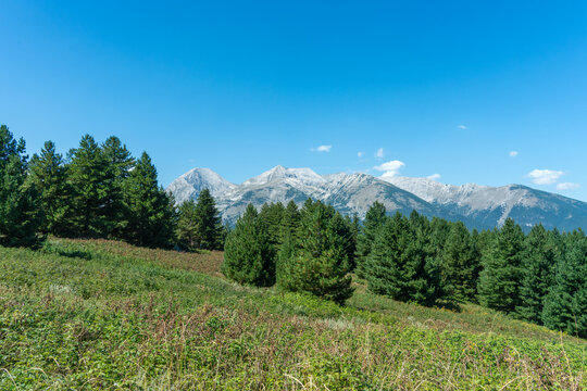 Tallest Pirin Mountains as seen from Konarevo slope under clear blue sky in summer.