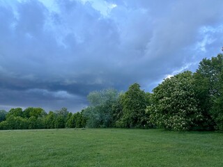 A lush green meadow encircled by a variety of vibrant, healthy trees. The sky above is growing darker as storm clouds gather, creating a moody, atmospheric contrast between the lively greenery and the