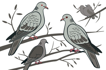 127 birds, pigeon, multiple pigeons, doves, close up, hyper realistic, highly detailed, photorealistic, high definition, 8K, no background, seamless, studio lighting, natural lighting, soft shadows, s