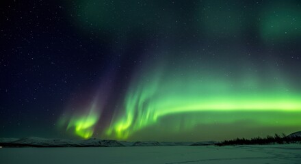 Mesmerizing Aurora Borealis Display