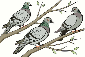 127 birds, pigeon, multiple pigeons, doves, close up, hyper realistic, highly detailed, photorealistic, high definition, 8K, no background, seamless, studio lighting, natural lighting, soft shadows, s