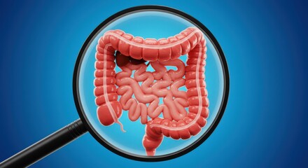 Colon examination representing health screening and diagnosis with magnifying glass on blue background