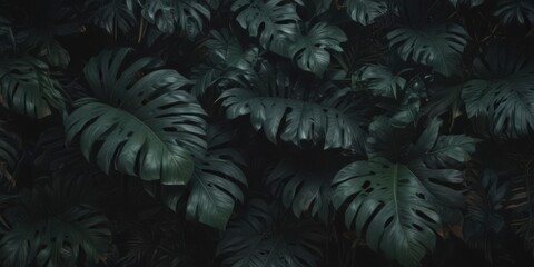 Fototapeta premium Dark, lush tropical leaves overlap, creating a mysterious, textured pattern , leaves, tropical, photography