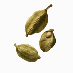 Three Green Cardamom Pods Falling Against a Gray Transparent background
