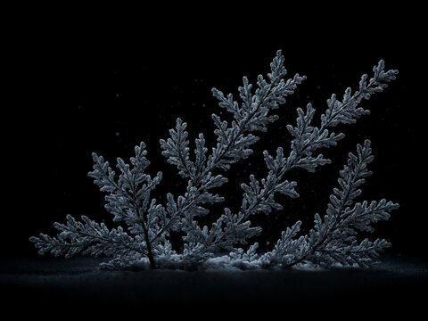 Seitlich geneigte, frostige Zweige entfalten sich flach aus dem Schnee heraus und verleihen der dunklen Umgebung Tiefe und Struktur
