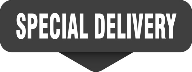 special delivery sticker. special delivery sign on transparent background