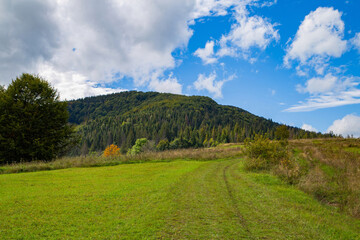 Fototapeta premium Beautiful green landscape with rolling hills and vibrant trees under a blue sky on a sunny day