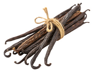 Dried vanilla sticks bundle