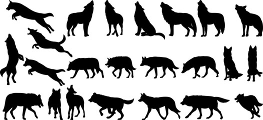 set of silhouettes of wolves in different poses, collection, vector