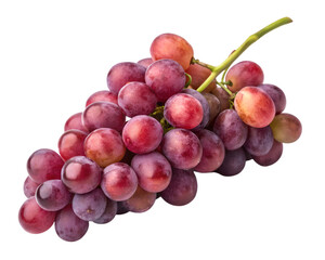 Fototapeta premium Cluster of red grapes isolated