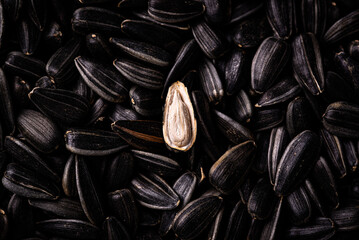 Sunflower seeds on black background texture