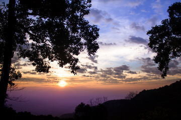 Mountain view at sunrise or sunset, with a purple and blue gradient sky in the background and shadows of trees in the foreground from the low light in the morning or evening.