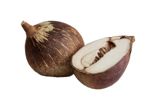 Nipa Palm Fruit: A whole and a halved nipa palm fruit, showcasing its unique texture and color. The fruit's interior is revealed, highlighting its creamy white flesh and dark brown rind.