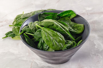 Raw green baby spinach plant