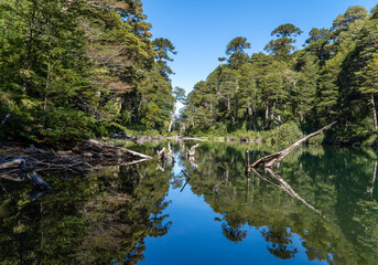 Scenic View of Huerquehue National Park, Chile