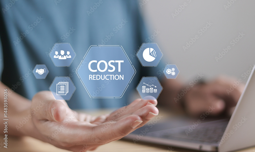 Poster cost reduction business finance concept. budget management and cost management. person using laptop 