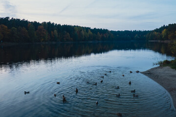 Stunningly beautiful lake in the golden autumn season. Magical multi-color reflection with light ripples on the surface of the water fall evening. Autumn scenery Colorful vibrant autumn forest with