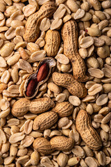 Pile of peanuts with one partially opened