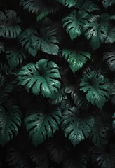 Deep emerald leaves, shadowy black backdrop, dense tropical pattern  High contrast, dramatic , foliage, shadow