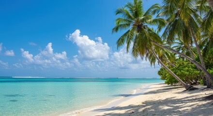 Tropical beach scene with palm trees white sand and turquoise water under blue sky.