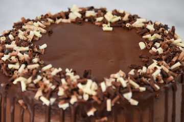 Rich Chocolate Drip Cake with chocolate Shavings covered in a smooth chocolate ganache that beautifully drips down the sides isolated on background closeup side view of chocolate dessert