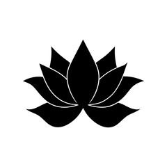 lotus flower vector illustration silhouette vector