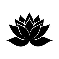 lotus flower vector illustration silhouette vector