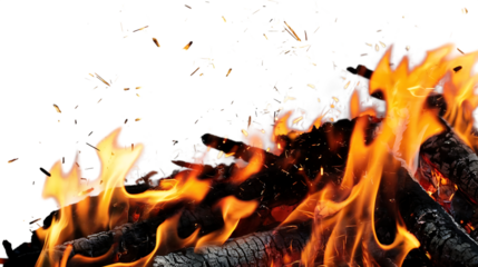 Bonfire isolated on transparent background