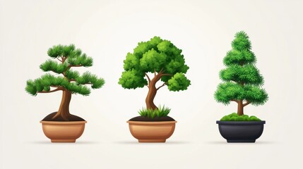 Three Distinctive Bonsai Trees in Decorative Pots for Tranquil Home Decor
