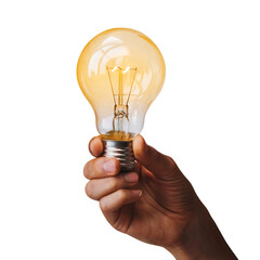 Human hand holding yellow bulb isolated on transparent background