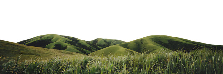 Green grass mountain isolated on transparent background