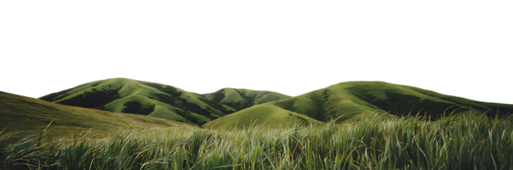 Green grass mountain isolated on transparent background