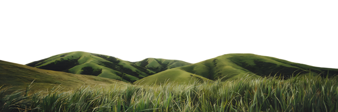 Green grass mountain isolated on transparent background - Powered by Adobe