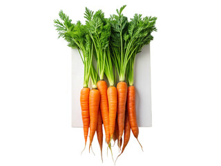Fresh Carrots with Greens on White Minimal Background.
