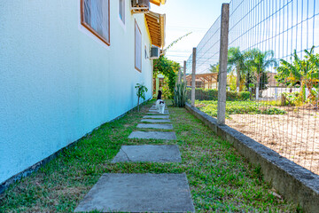 gato branco e preto caminhando no quintal
