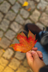 Unrecognizable woman holding Colorful falling autumn leaves. Copy space. Walk through park forest...