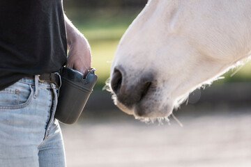 feeding horse during target and clicker training horse and human connect and bond hand and nose