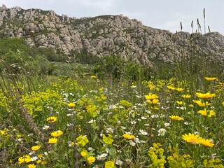 Montserrat 