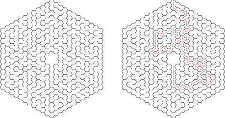 Hexagonal Maze Puzzle Solution Pathfinding Game Logic Brain Teaser