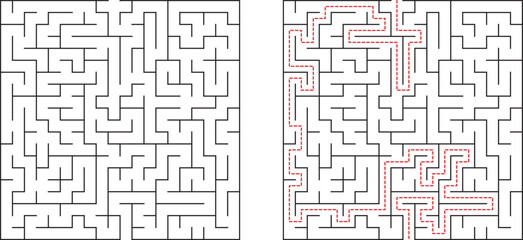 Complex Maze Puzzle Solution Solved Labyrinth Path Finding Game Challenge
